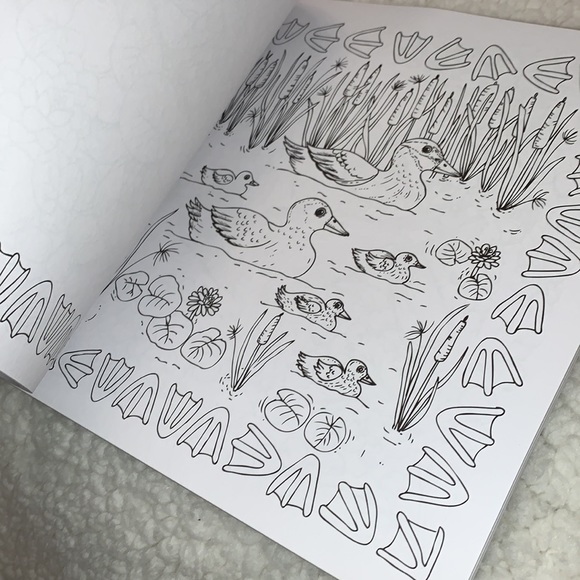 Magic Path Coloring Book - Picture 3 of 5